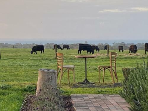 Byfrons Phillip Island Farmhouse