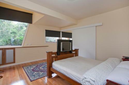 Charles Central Oasis 8