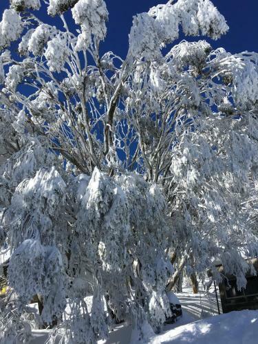 Apartamento Sun Valley 2