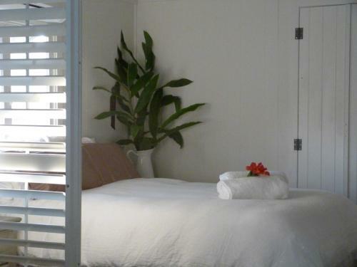 Mullaway Beach Holiday Cabins
