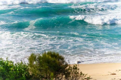 Apartamento Aqua Shores Studio