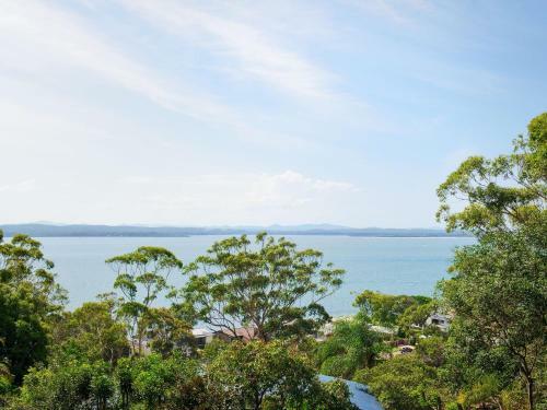 Jacaranda Blue @ Corlette