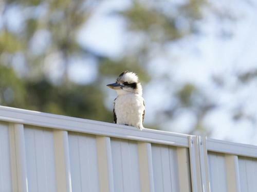 Seabreeze At Corlette