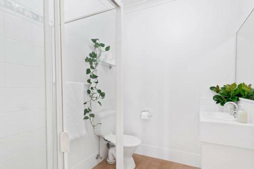 Memories On The Beachfront