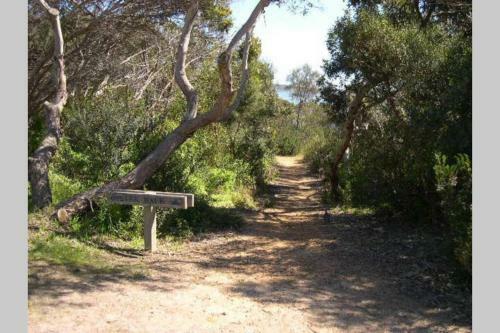 Almonta Apartments On The Water Front