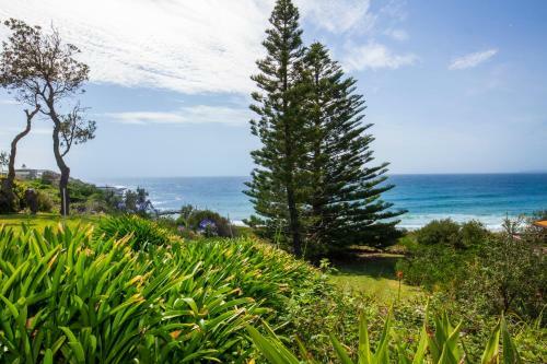 Seaview - Pet Friendly With Stunning Views - 1 Min To Beach