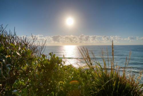 Osprey - Sapphire Beach Nsw
