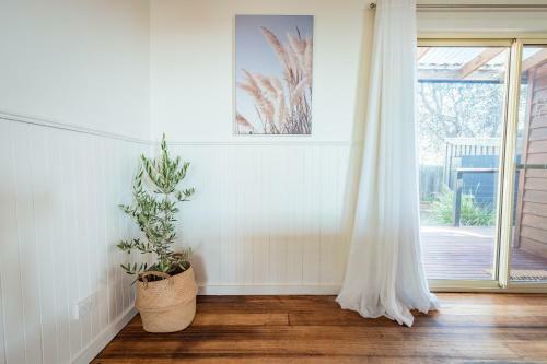 Bush Hideaway By The Beach
