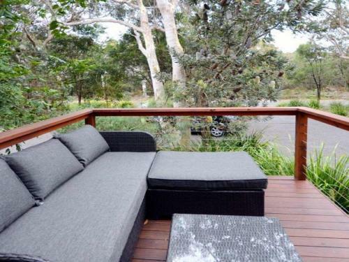 Scribbly Gum On Benton - Bushland Setting