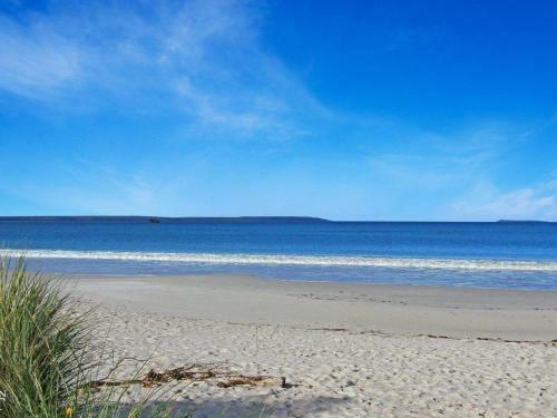 Scribbly Gum On Benton - Bushland Setting