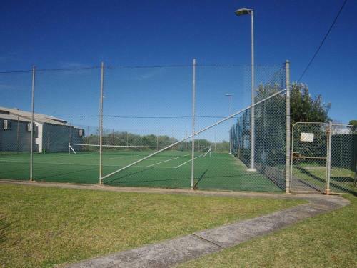 Scribbly Gum On Benton - Bushland Setting