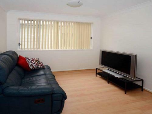 Scribbly Gum On Benton - Bushland Setting