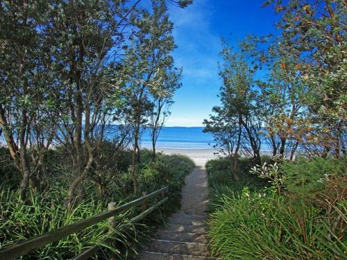 Scribbly Gum On Benton - Bushland Setting