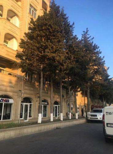 Apartamento G?nclik Baku