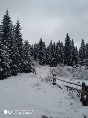 Apartamento Groodvy Jahorina