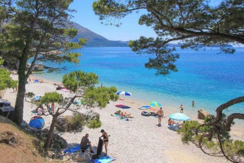 Luxury Villa Branko With Private Pool Near Dubrovnik
