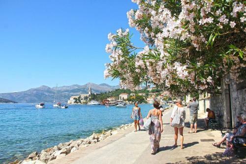 Apartment Alice With Private Pool Near Dubrovnik