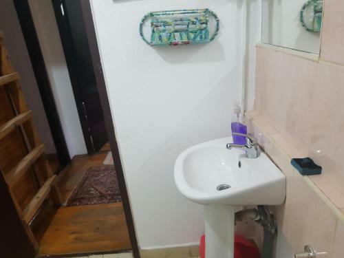 Winter House In Noah's Ark