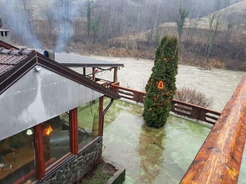Winter House In Noah's Ark
