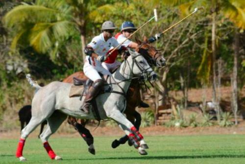 Waterhall Polo Villa 12