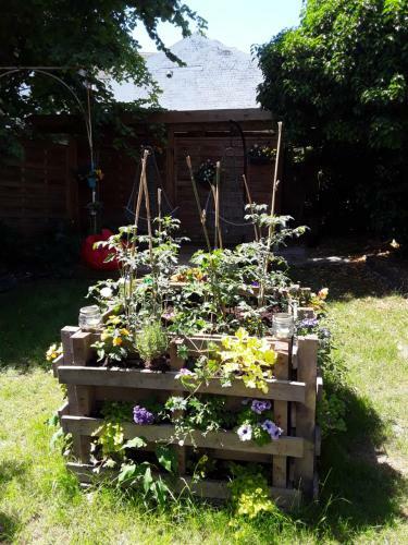 Bed & Breakfast L'h�te Des G�ants