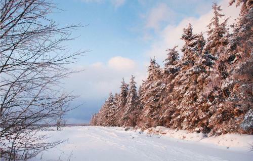 Apartamento Monas Natur-oase