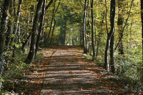 Villa Durbuy Vues Infinies