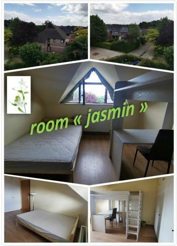 Homestay - Calm And Bright - Queen-size Bed