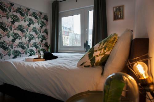 Apartamento #kaaistraat2