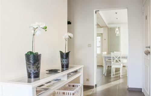 Nice Home In Oostduinkerke W/ Wifi And 3 Bedrooms