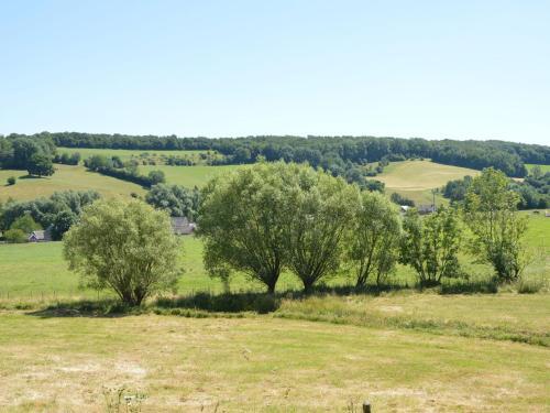 Superb Holiday Home In Plombi�res With Barbecue