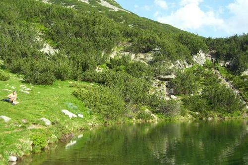 Apartments Four Leaf Clover Bansko To Rent