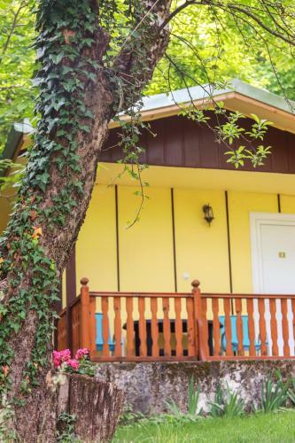 23 Persons Bungalow In Nice Forest 8