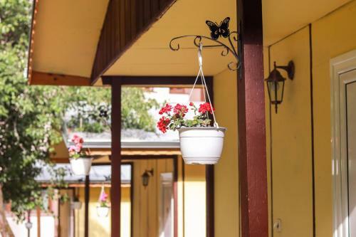 23 Persons Bungalow In Nice Complex For Family