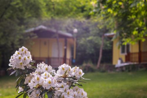 Cosy Bungalow In A Lovely Village