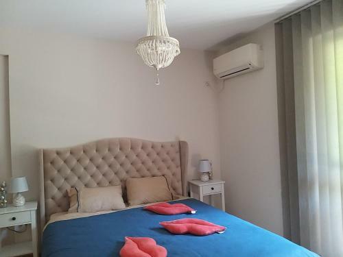 Sandanski Apartments 1