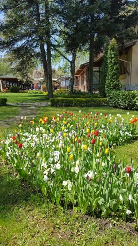 Family Hotel Residence