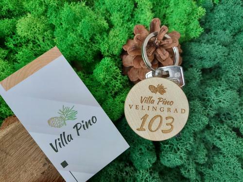 Hostal Villa Pino