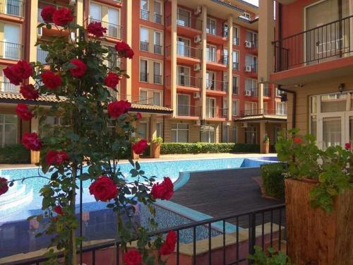 Apartamento ??????-??????? ?? ????????? ?????? ? ????????