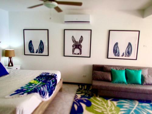 Hostal The Laughing Seahorse