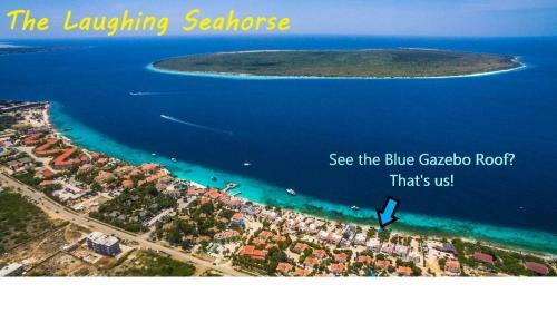 Hostal The Laughing Seahorse