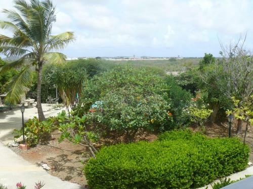Apartment 1 And 5 In Windsock Beach Resort