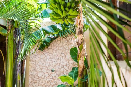 Bamboo Bonaire Boutique Resort