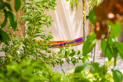 Bamboo Bonaire Boutique Resort