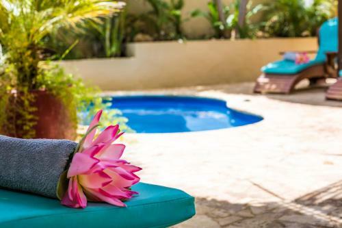 Bamboo Bonaire Boutique Resort