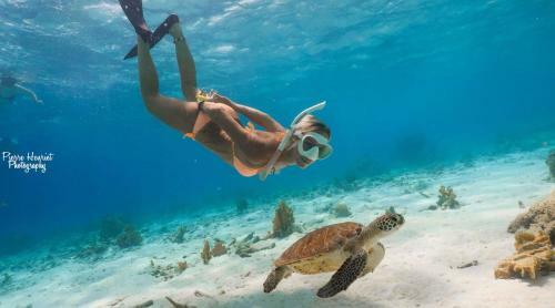 Bamboo Bonaire Boutique Resort