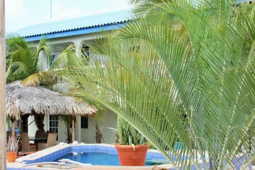 Apartamento My Own Paradise Resort Bonaire