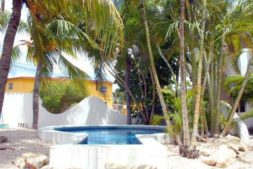 Bed & Breakfast Bnbbonaire Near The Ocean