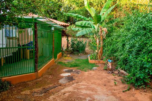 Chal� Ip� - Jatob�