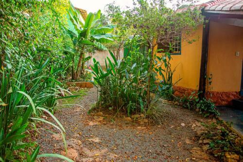 Chal� Ip� - Jatob�